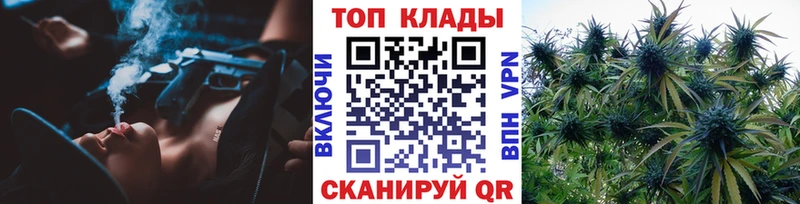 A-PVP Пионерский