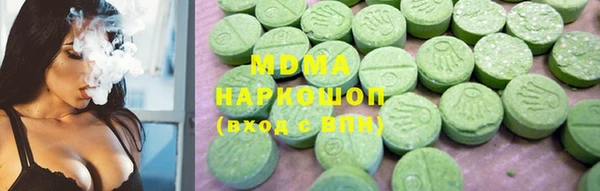 индика Гусь-Хрустальный