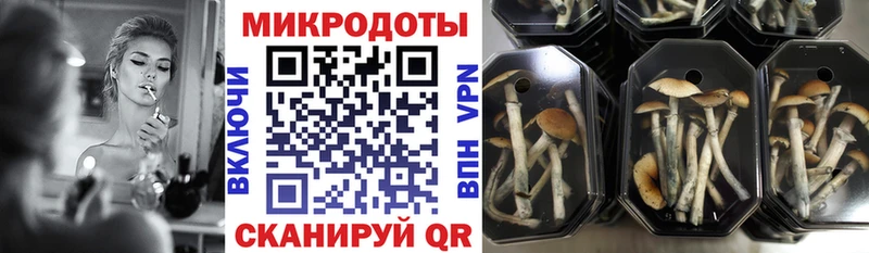MEGA ONION  Пионерский  Галлюциногенные грибы мухоморы 